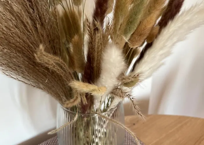 Przy Sprzymierzencow 8, Ustka